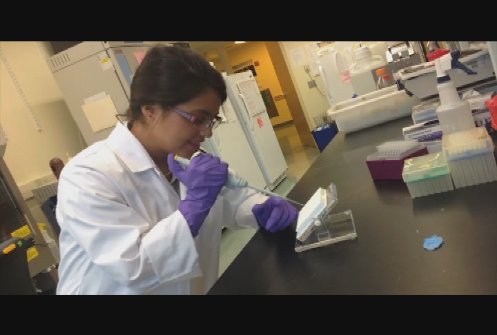 Brunswick Area Student Aid Fund